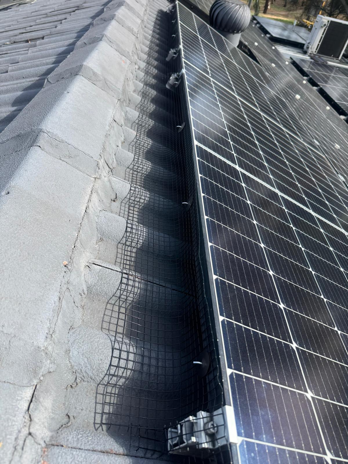 Bird Proofing